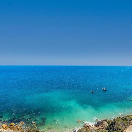Lux Oceanfront Penthouse Suite Wpanoramic Views 阿瓦隆 外观 照片